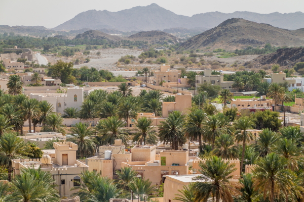 Pelleboer Translations - Professionele tolk- en vertaaldiensten vanuit en naar het Arabisch